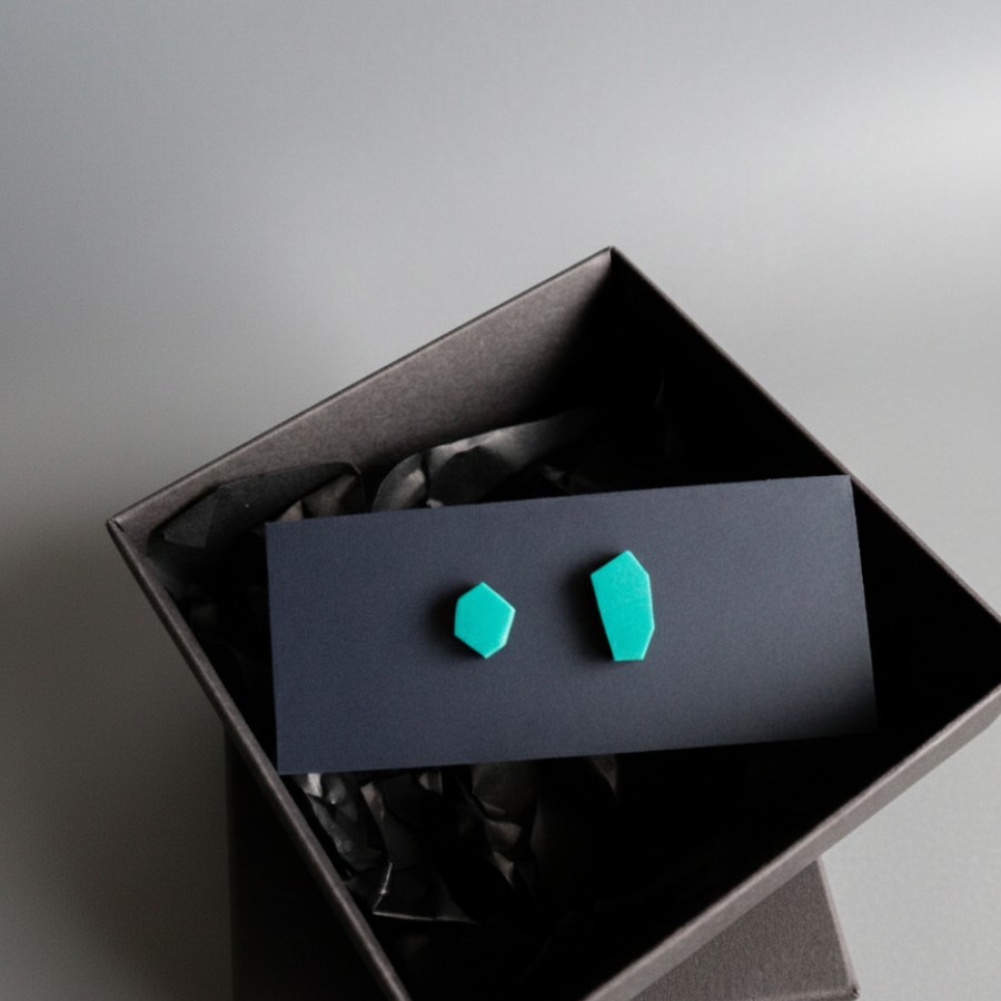 299 | Netaisyklingos formos auskarai